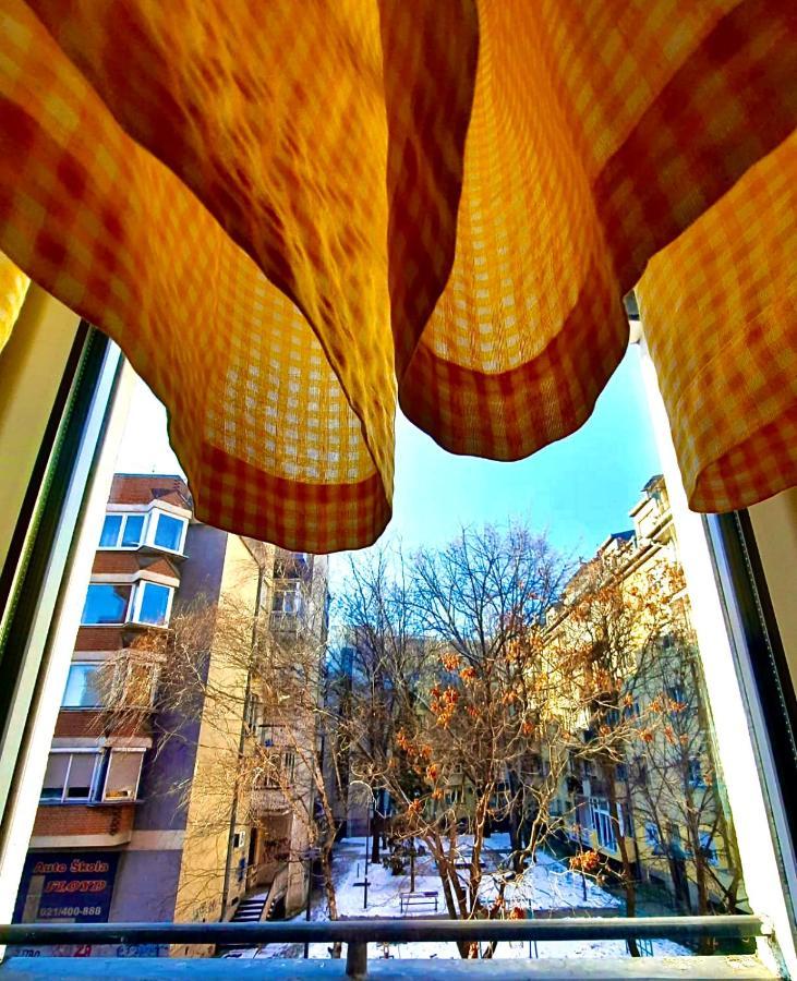 Apartman Danube Novi Sad Eksteriør billede