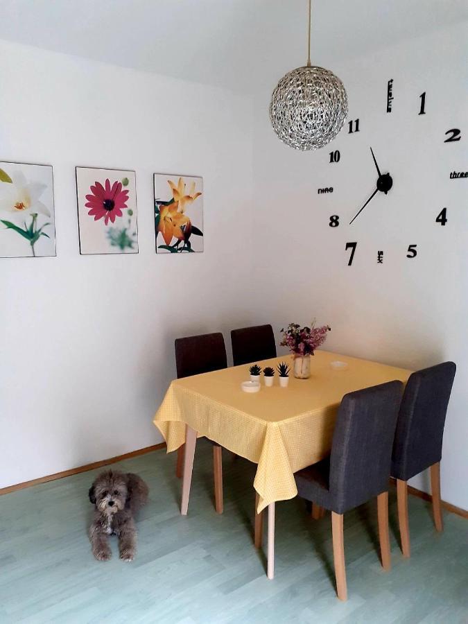 Apartman Danube Novi Sad Eksteriør billede